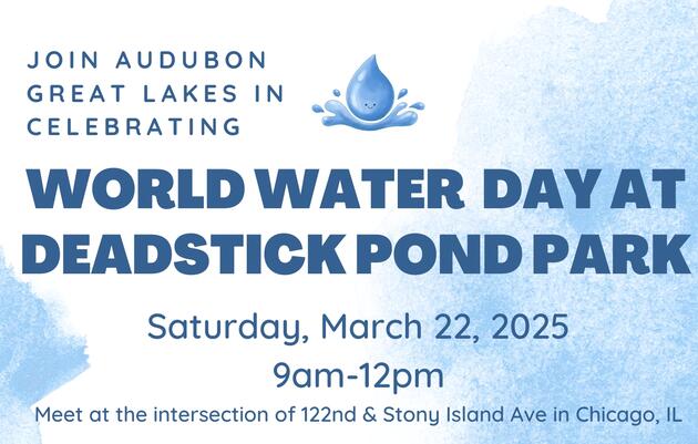 World Water Day Celebration: Deadstick Pond Park