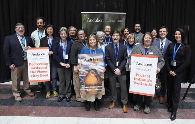Audubon flocks to Indiana Statehouse for Audubon Great Lakes Advocacy Day, calls for wetlands protections 
