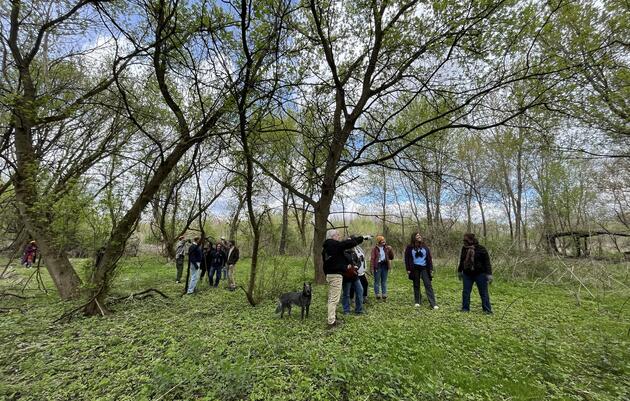 Restoration of Hatcher Park and Marshalltown Marsh 