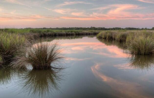 Audubon and Partners Launch Community-driven Climate Projects in Three States