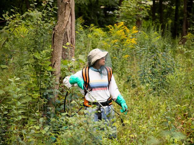 Audubon Great Lakes Habitat Restoration Internship Program Building the Next Generation of Conservation Leaders 