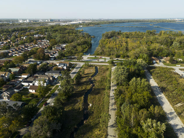 Congress Continues Its Bipartisan Commitment to the Great Lakes, Birds that Depend on Them