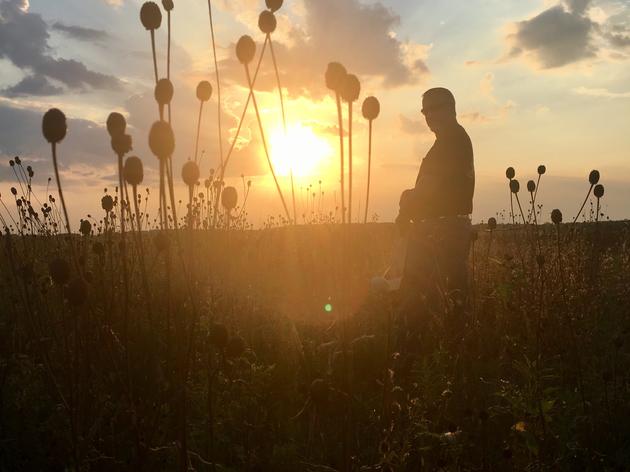 2020 Bartel Grassland Stewardship 