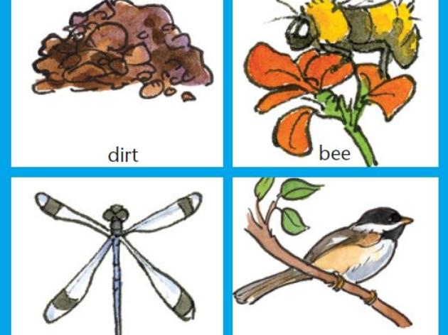 Nature Detective Bingo Card
