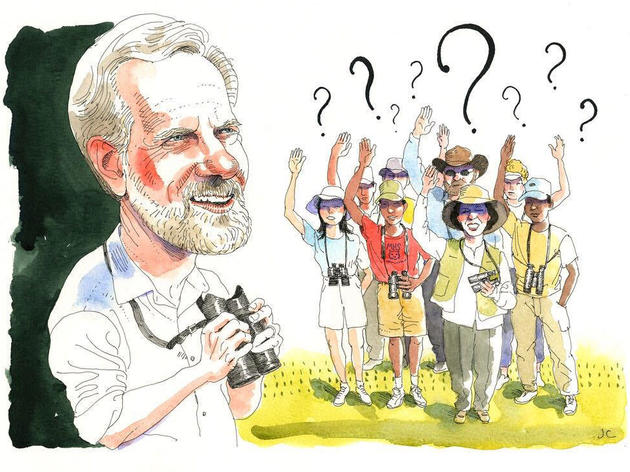Ask Kenn Kaufman: Do Birds Get Bored?