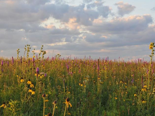 Visit Orland Grassland