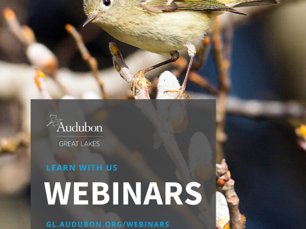 Audubon Great Lakes Webinars 