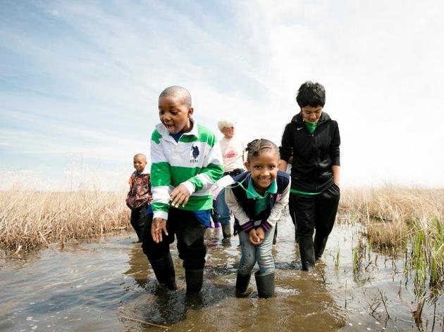 Protect Our Great Lakes