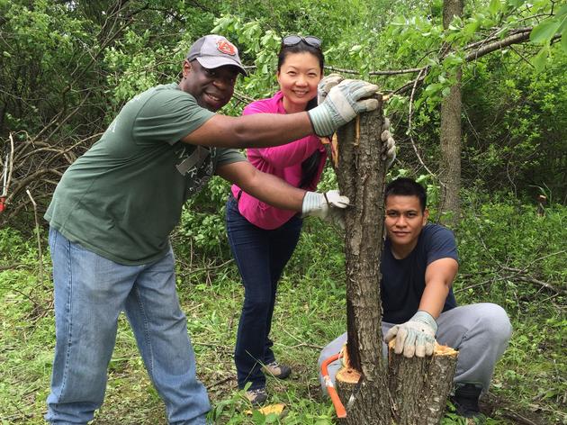 Greenbelt Volunteer Stewardship Days