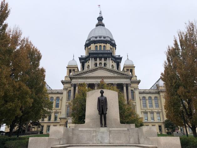 Illinois House Committee Passes Bird Safe State Building Legislation