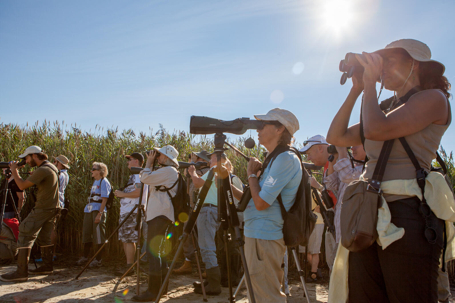 A group of birders gathered along a shoreline to observe birds from a distance.