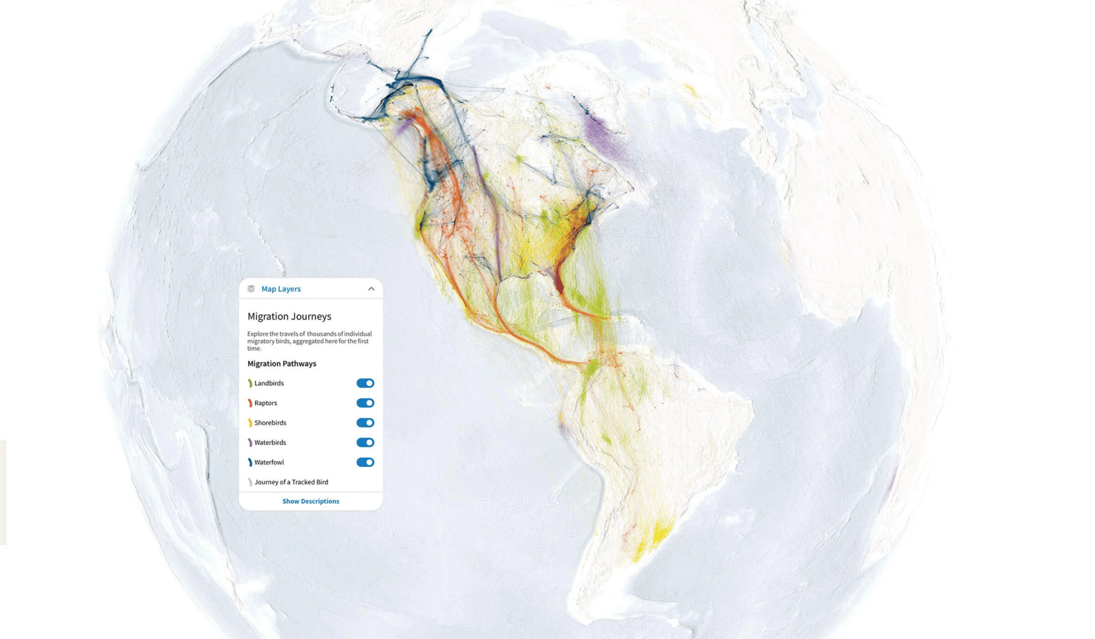 Migratory Bird Explorer map showing different migratory routes for different bird groups across North, Central and South America. 