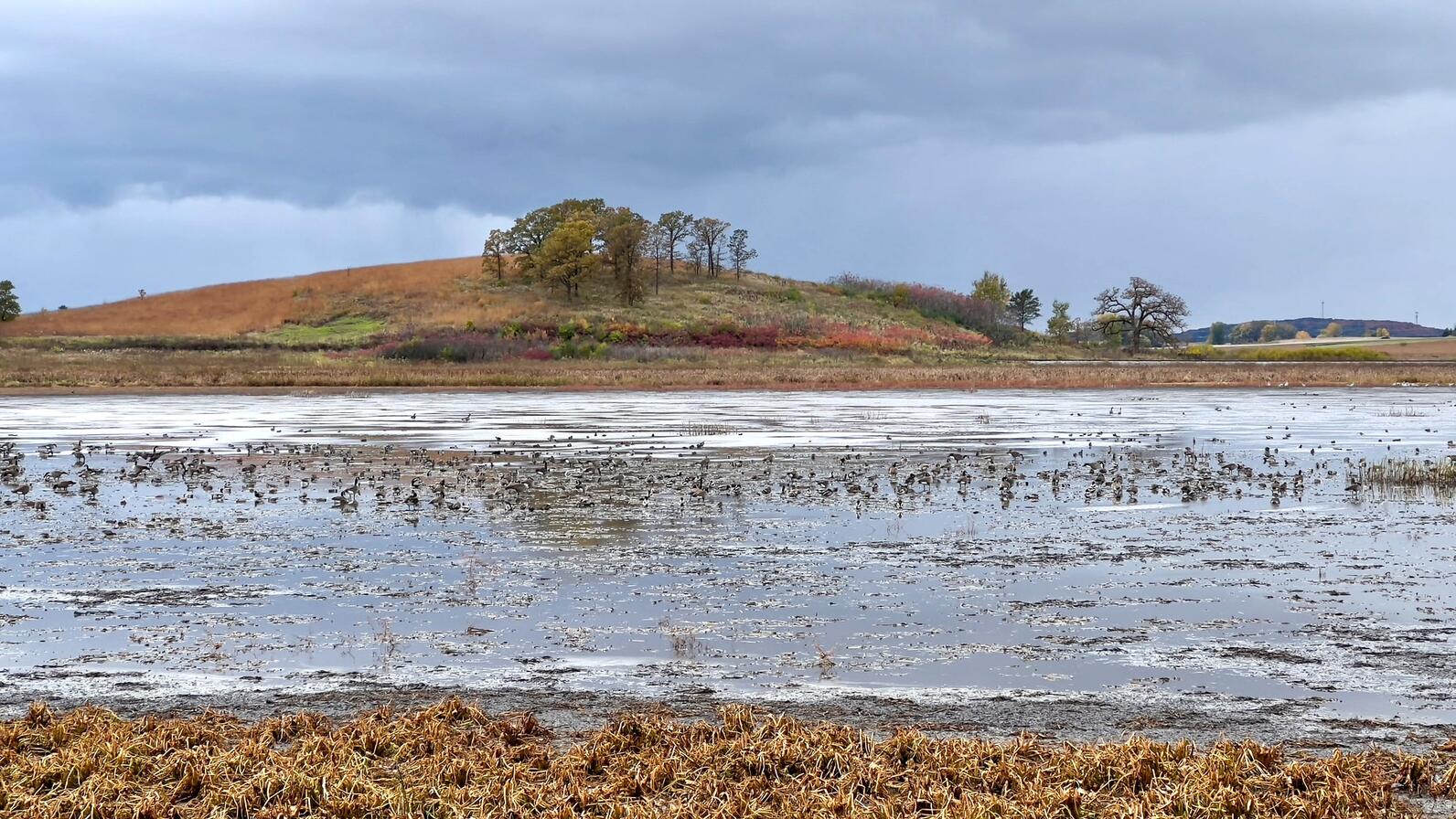 Goose Pond Sanctuary in the fall