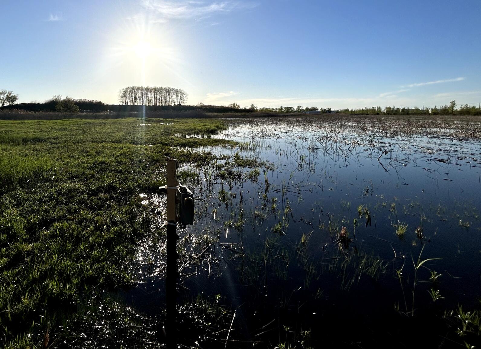 An Autonomous Recording Unit faces a wetland to record bird songs.