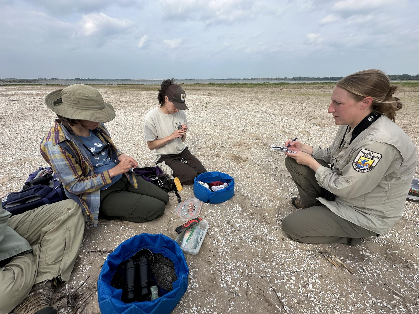 Conservation partners from USFWS and Great Lakes Piping Plover Recovery Team are collecting data on the banded chicks. Photo: Tom Prestby/Audubon Great Lakes