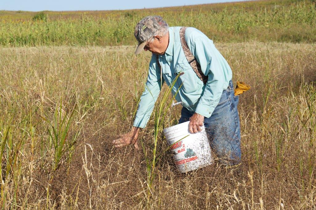 Mark Martin collects seeds on the prairie.