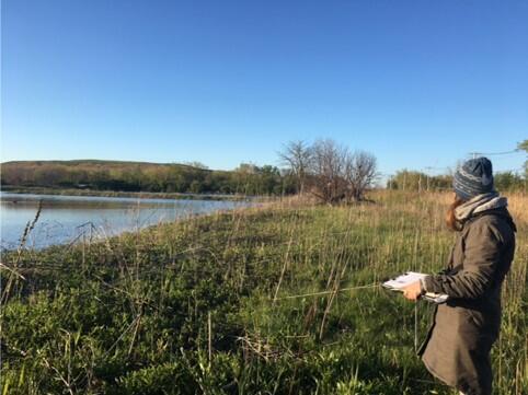 A marsh bird monitor stands at the edge of a wetland holding a clipboard with a data form. 