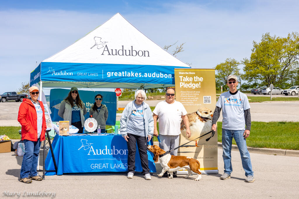 Great Lakes Piping Plover volunteers at Platte Point beach in Michigan.