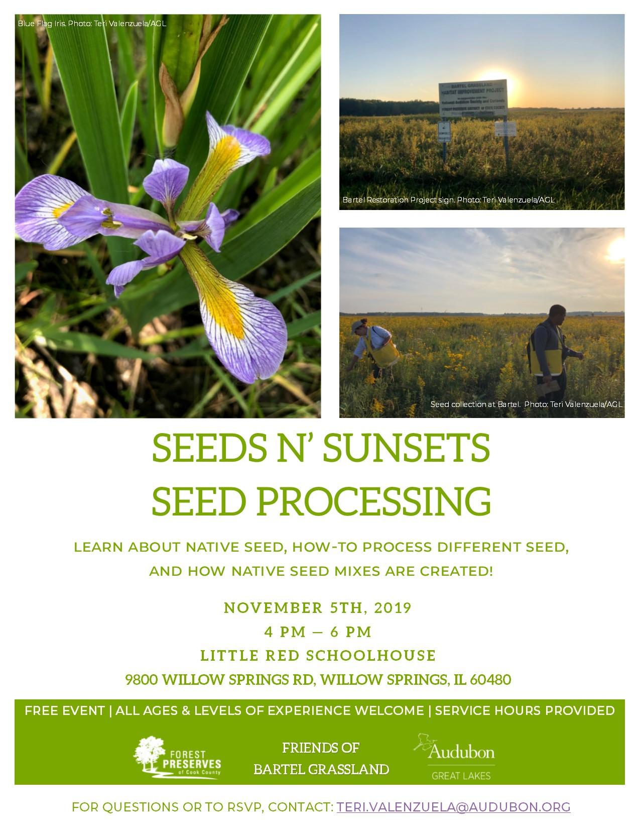 Fall 2019 Native Seed Processing Events Audubon Great Lakes