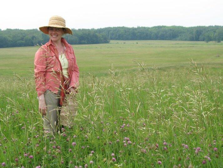 Michelle Parker, Vice President and Executive Director of Audubon Great Lakes collects native grass seeds in a green field. 