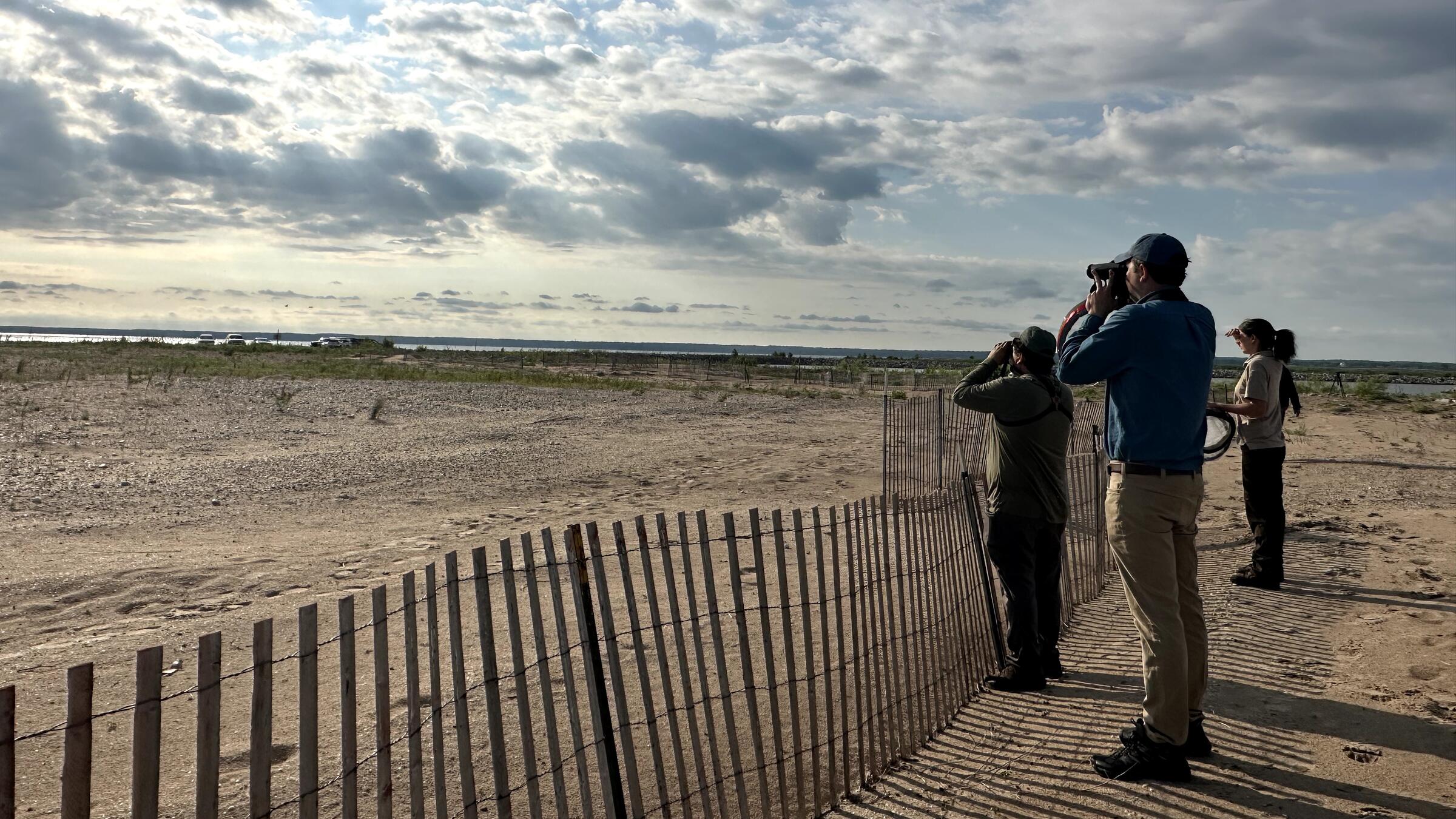 Volunteers and staff look out over a sandy beach with binoculars in search of Piping Plovers at Cat Island, in Green Bay, Wisconsin.