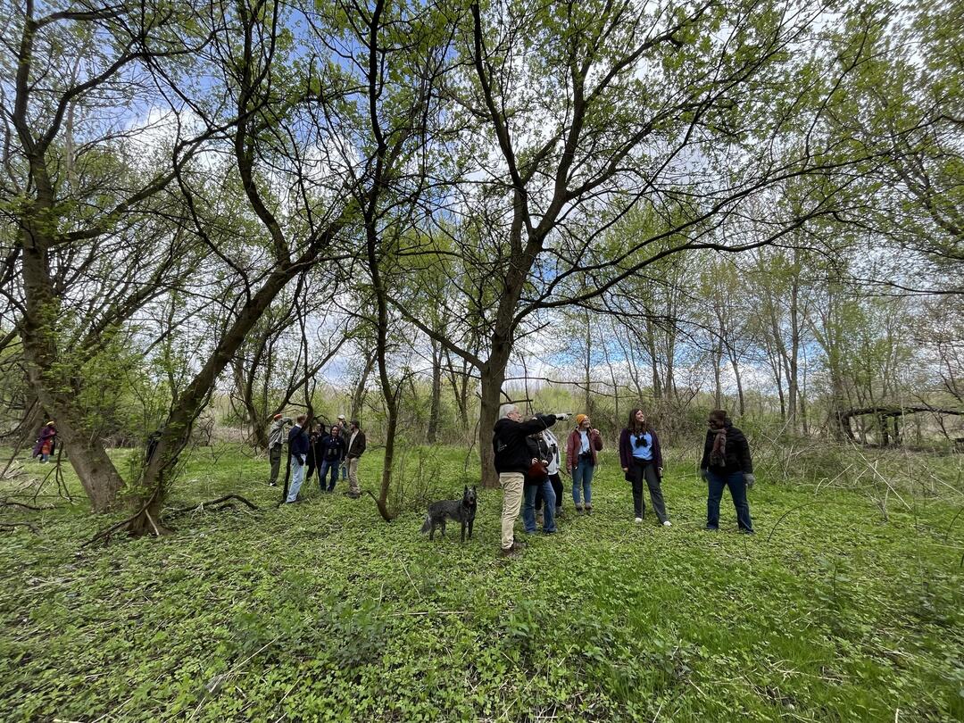 Audubon staff, partners and community members explore the woodlands of Hatcher Park. Photo: Audubon Great Lakes